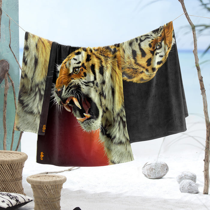 9d509b71-3208-41b8-9a95-cae603965a86-afbeelding3.jpg (4948957)