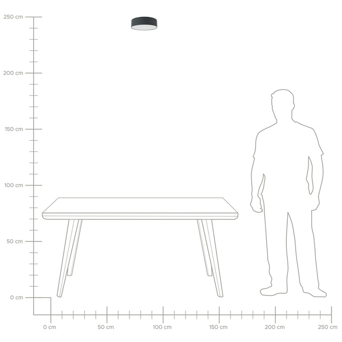 fc7773f7-347b-4a48-8c20-10bfdb5eefde-afbeelding8.jpg (4949482)