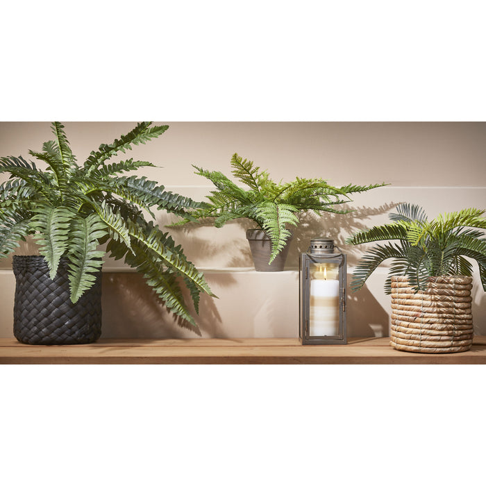 Mica Decorations Varen Kunstplant - H38 x Ø50 cm - Groen
