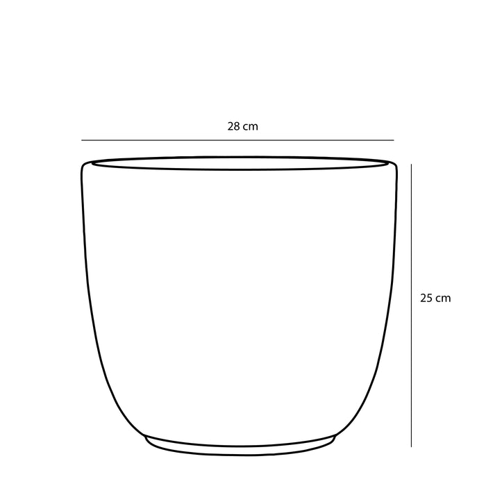 943f79d0-234d-421c-8c88-3e7cfd826f36-afbeelding4.jpg (4962071)