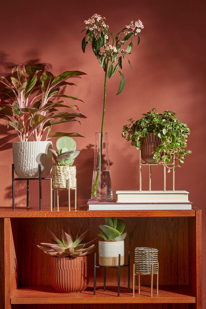 90d37b08-8626-4979-91da-65299ca0d8a3-afbeelding9.jpg (4966675)