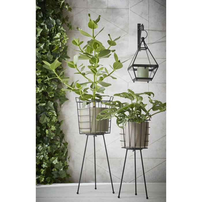 50925567-6c51-49d9-910e-7172f365da5b-afbeelding5.jpg (4975635)