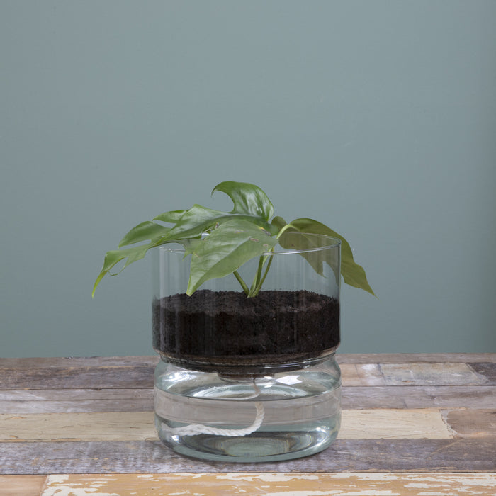 b10b72d4-21a0-4e55-aaa5-bba9b7a5849e-sfeerbeeld.jpg (4980034)