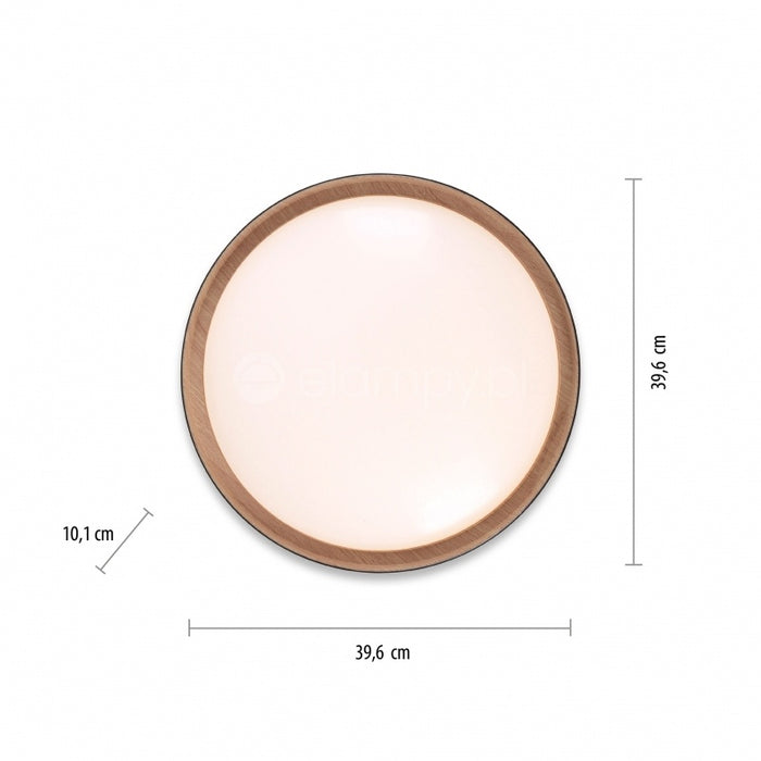 f8c94bea-f57d-4dd8-9c86-b373a3e6c459-afbeelding8.jpg (4981741)