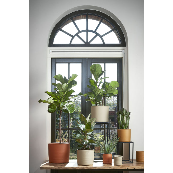 20fe35d3-36dc-40a1-b66e-46f8cf290828-afbeelding7.jpg (4983749)