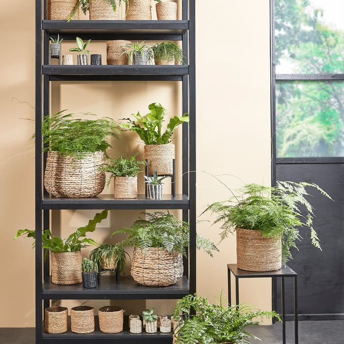 fe585061-b122-4532-8110-48fb5900fa64-afbeelding6.jpg (4987852)