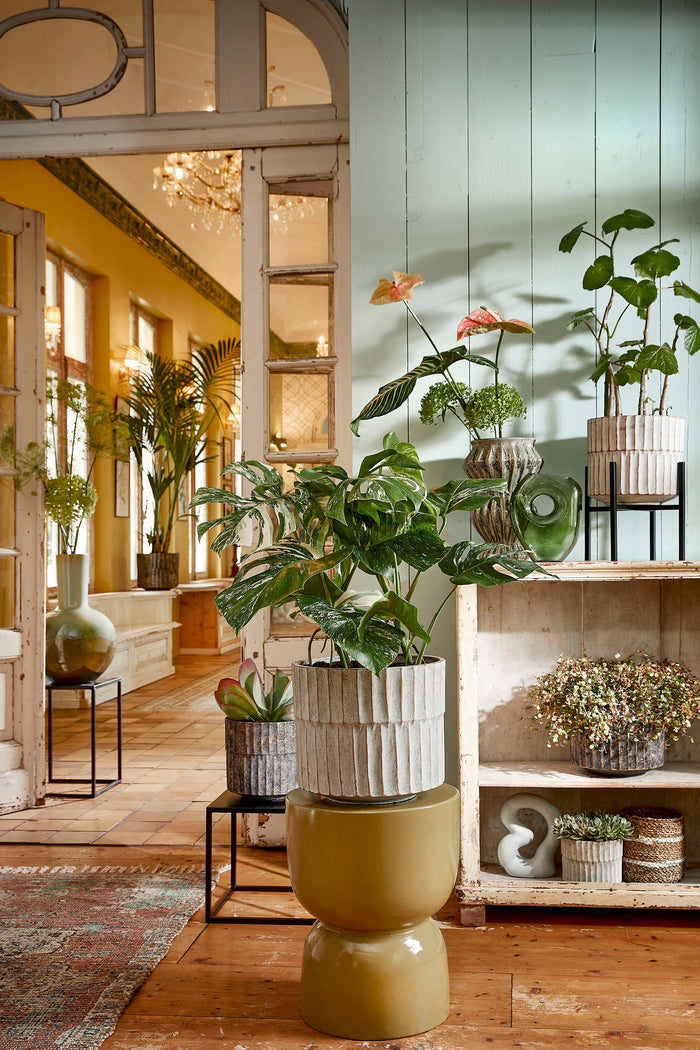 2eb79544-ce3e-4a60-baa4-020fdef23255-afbeelding9.jpg (4997511)