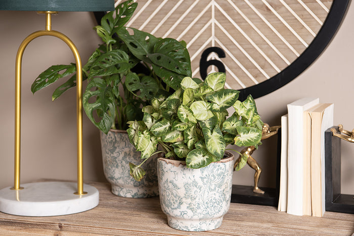 876224ce-1247-4506-a98c-7983a1bc940b-afbeelding12.jpg (5027202)