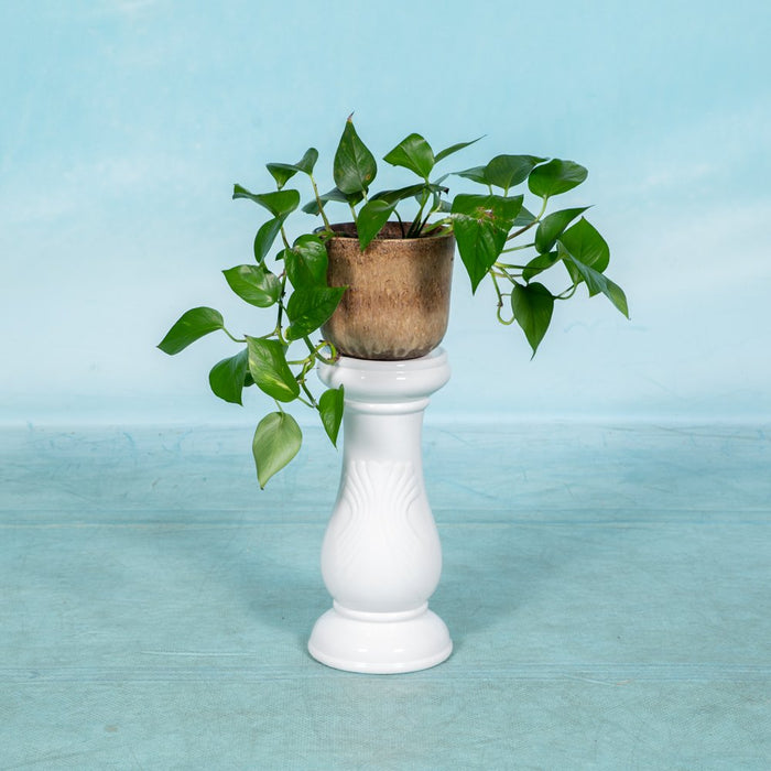 Reliving Vintage Plantenzuil, Boho Keramische Pilaar Jaren 60|70