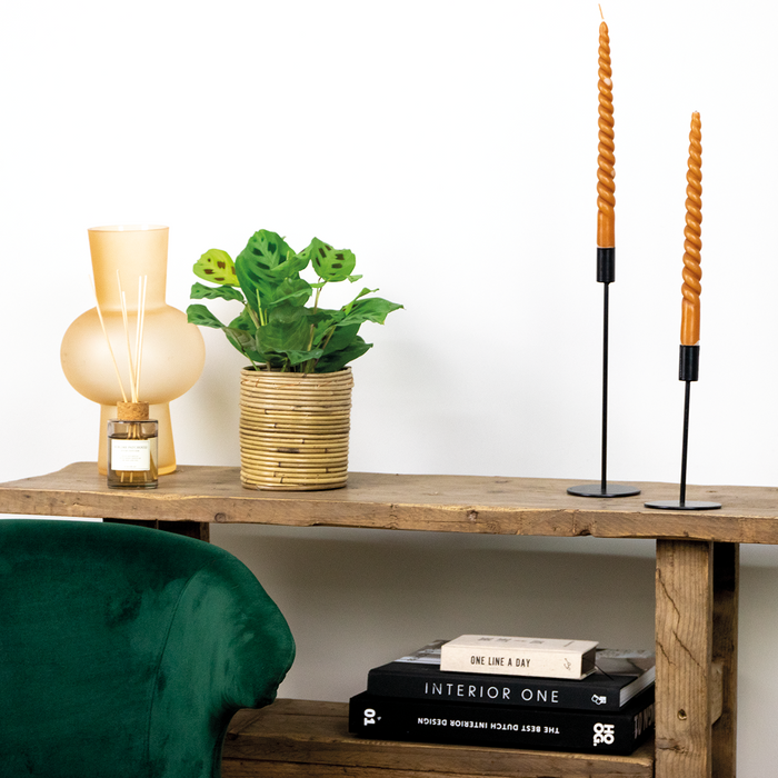 Bloomique - Maranta 'Kerchoveana'– Gebedsplant – ⌀12cm –↕10-15cm