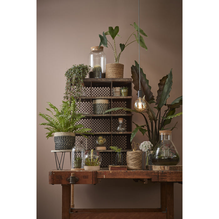 724e642f-c3d7-4882-9253-cdf507cb5d6d-afbeelding5.jpg (5089524)