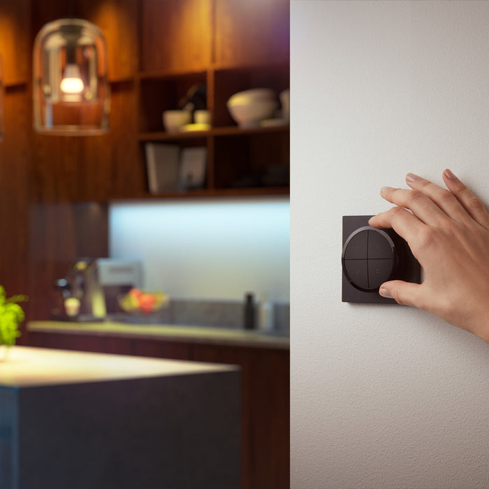 Philips Hue Tap dial switch Zwart
