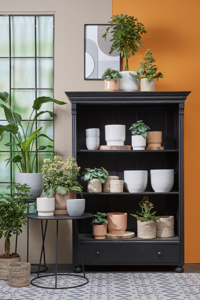 19040ff3-ae8e-479f-a901-07b31853c5cb-afbeelding6.jpg (5113334)