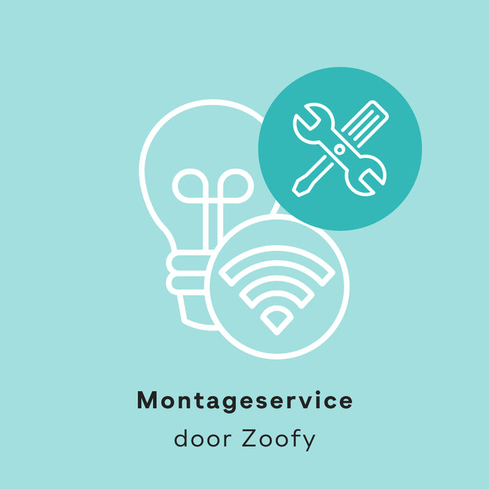 1x Installatie Phillips Hue - Door Zoofy in samenwerking met fonQ