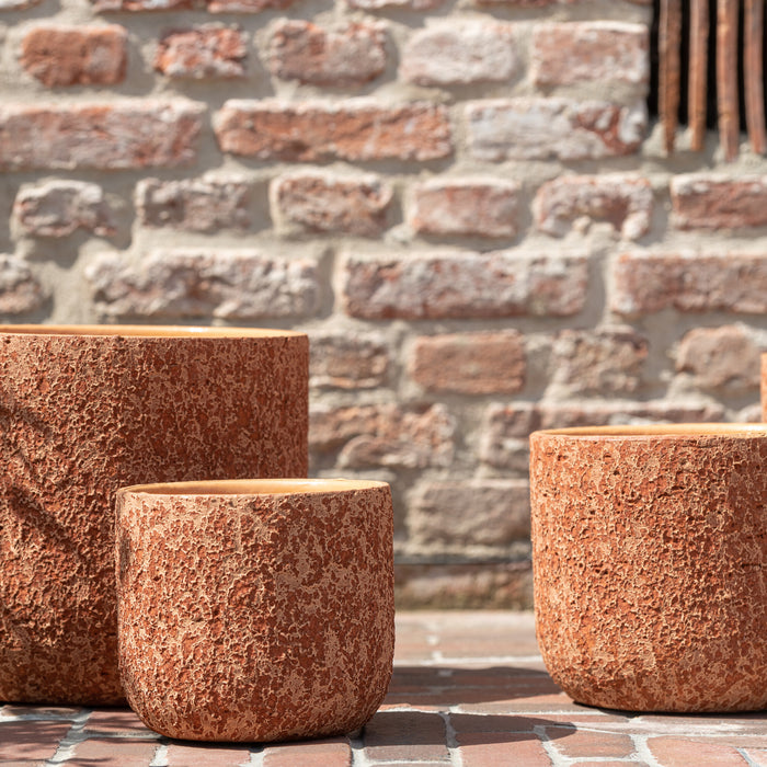 c07d2224-888a-4baf-bf2f-ef433b47be44-afbeelding3.jpg (5143194)