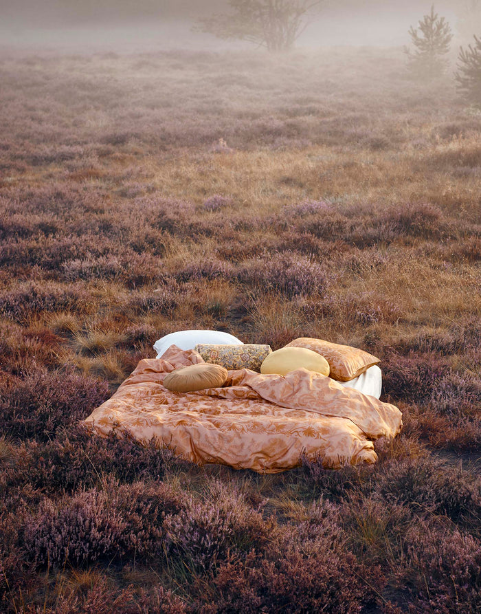 a6147d2e-223a-4ec1-838c-b1994eeae3f4-afbeelding3.jpg (5163361)