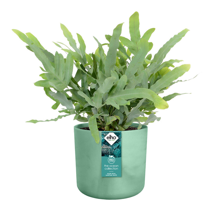 elho The Ocean Bloempot Round Ø 22 cm - Groen