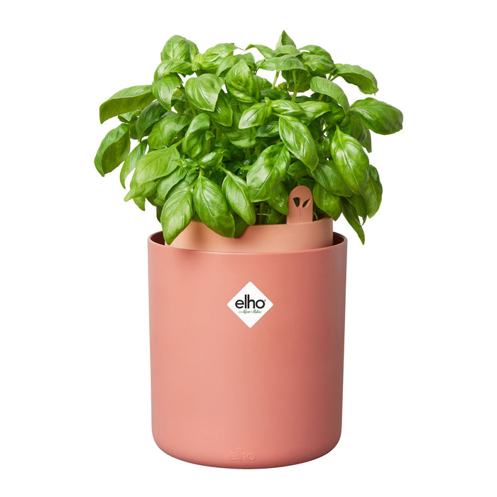 elho Bouncy Basil Pot Ø 17 cm - Roze