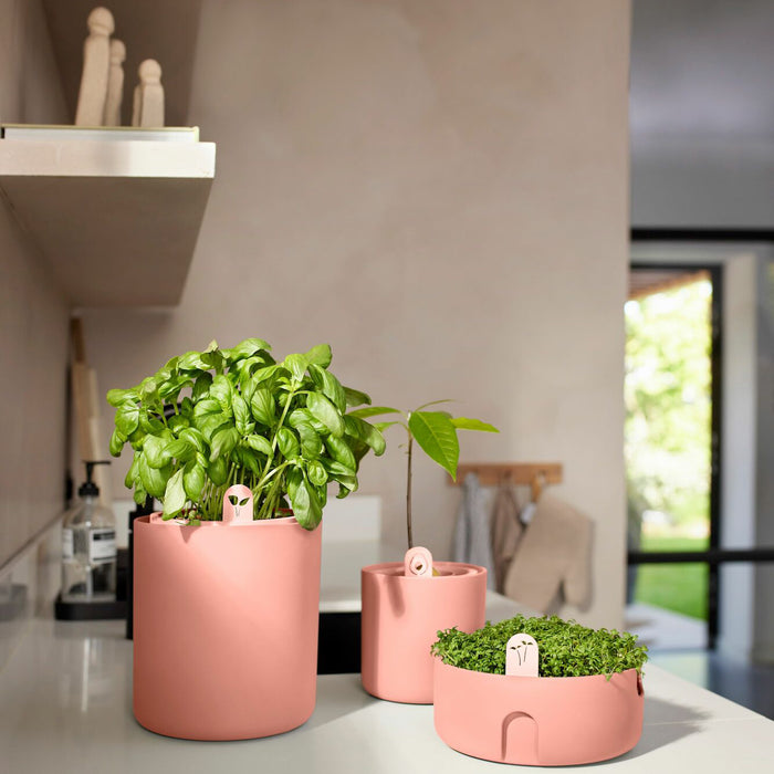elho Amazing Avocado Pot Ø 12 cm - Roze