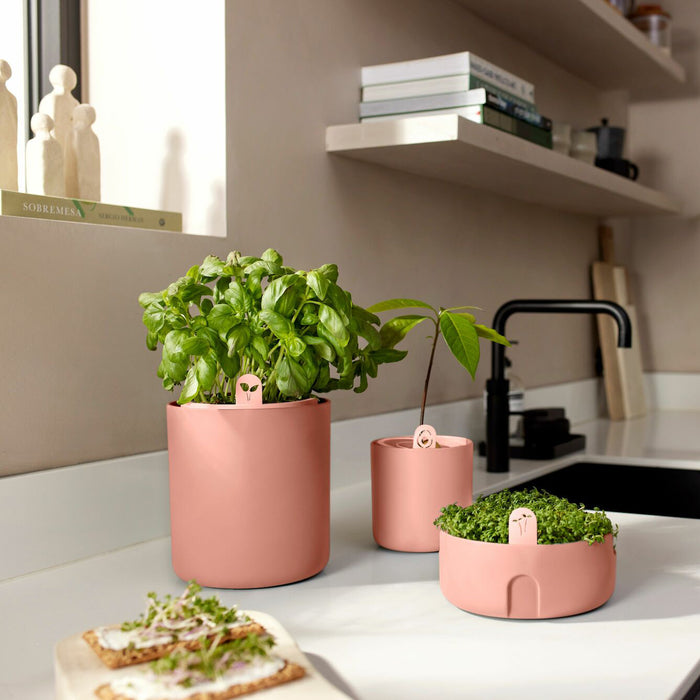 elho Amazing Avocado Pot Ø 12 cm - Roze