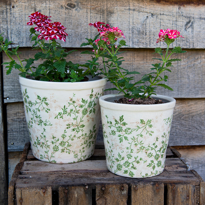 396faf53-93b9-45bd-be70-52a0a99e3eda-afbeelding11.jpg (5328604)