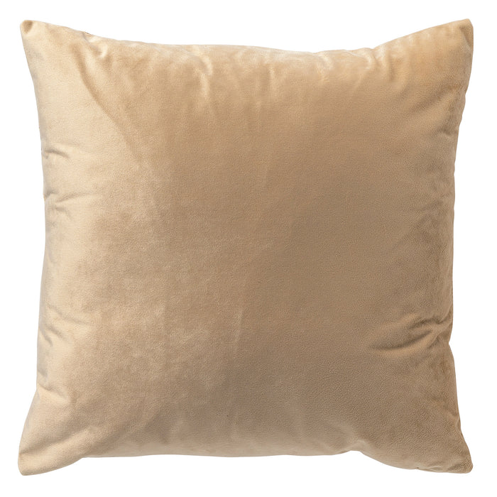 2890b383-2d7e-4fb4-849d-b37ec5111044-afbeelding3.jpg (5422025)