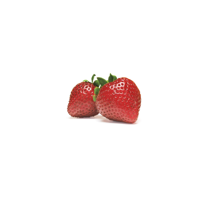 OXO Good Grips vershoudbox GreenSaver - 1,5 liter