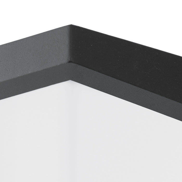 EGLO Topline Desella 1 - Buitenverlichting - Wandlamp - Antraciet