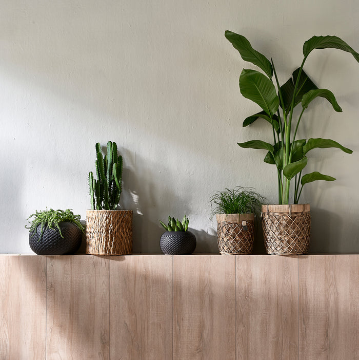 2bdfe810-8dfe-4276-9a25-268484d3dc4d-afbeelding4.jpg (5781753)