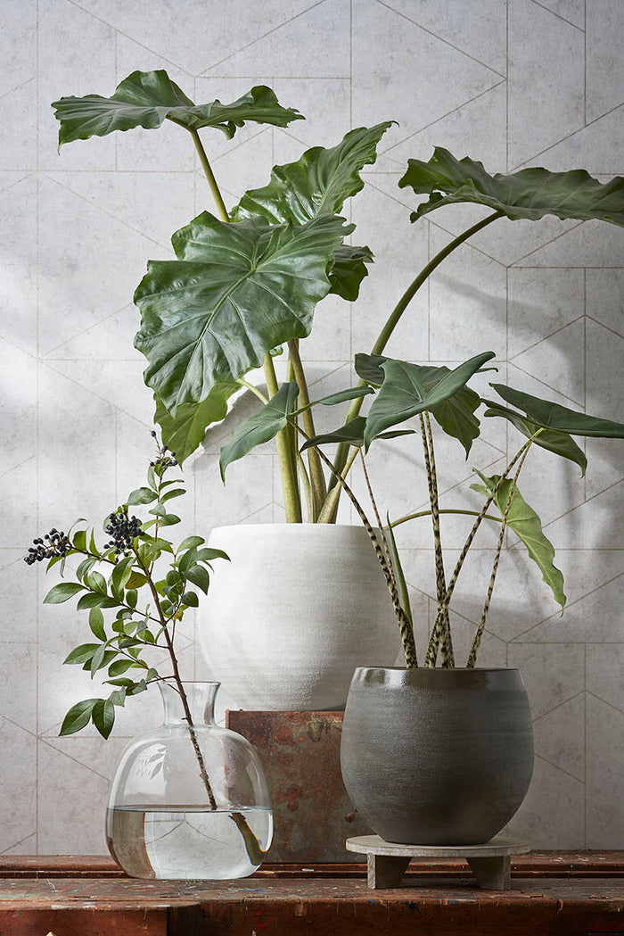 78317fc0-dce5-49bd-a221-55c2c351f8ad-sfeerbeeld.jpg (5789159)