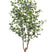 Cozy Ibiza - kunstplant Eucalypthus 180 cm