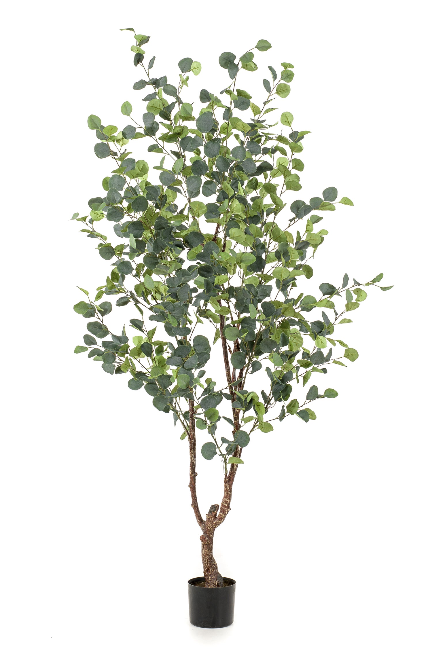 Cozy Ibiza - kunstplant Eucalypthus 180 cm