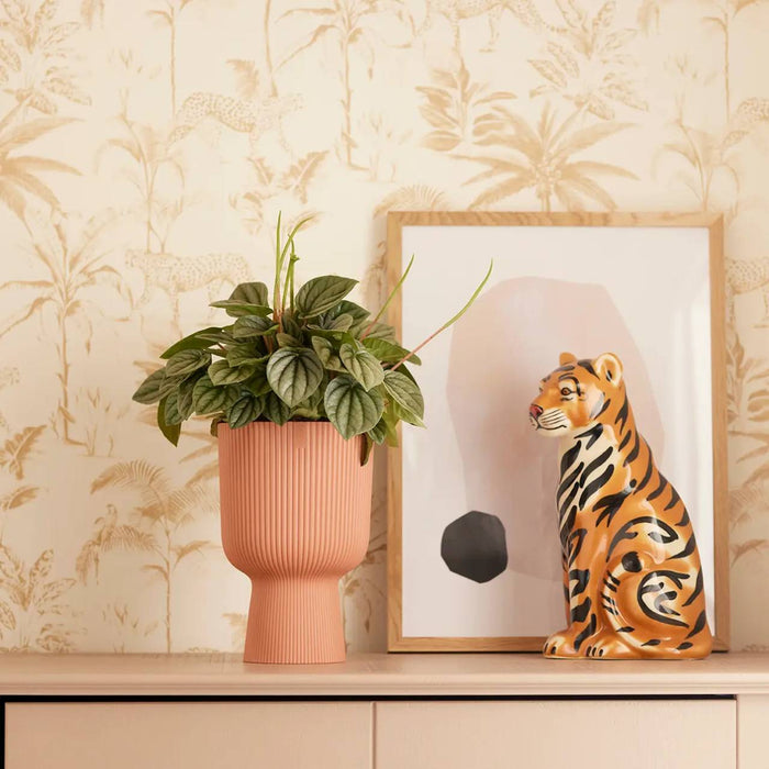 319580-x01-202306272121-A.jpg (5932973)