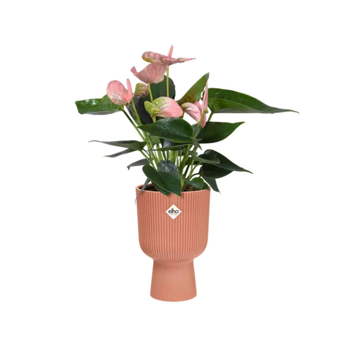 elho Vibes Fold Coupe Bloempot Ø 14 cm - Roze