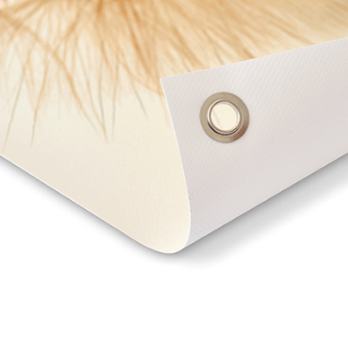 Sweet Living - Ronde Tuinposter Cosmea Bloemen- B100 x L100 cm