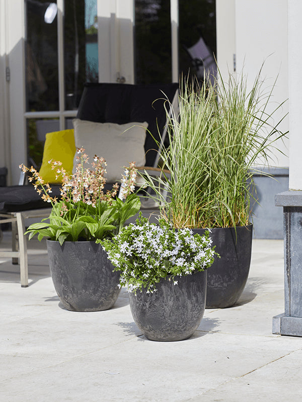 83b51b72-2fd8-48b4-b6b2-e2deda5c716f-afbeelding10.jpg (6277416)