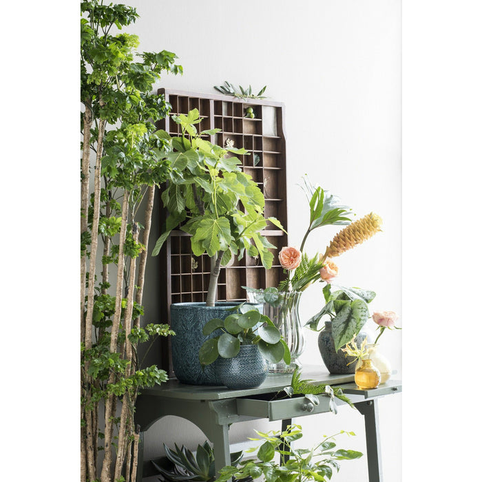 e7806193-a815-4049-b52b-9a5e7f99c957-sfeerbeeld.jpg (6287593)