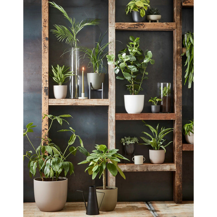 758d364c-ec23-46d8-9747-888b7f07f3db-afbeelding3.jpg (6287613)