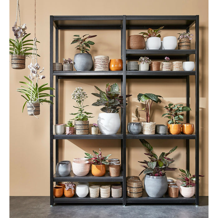 d7011c79-7972-4139-a69f-0944d781425e-afbeelding3.jpg (6288531)