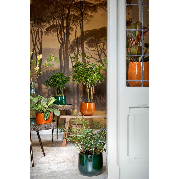 86a96692-8ad1-4326-a42c-e21c2a8d3ac6-sfeerbeeld.jpg (6289584)