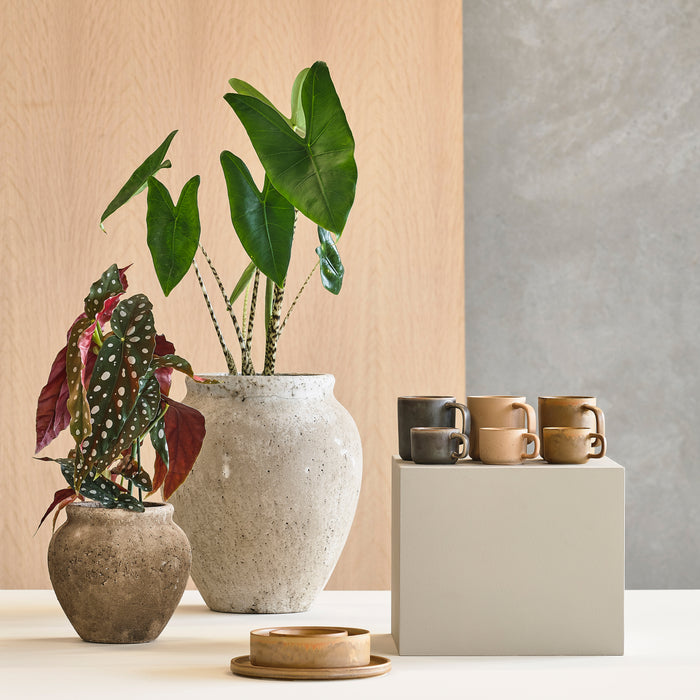 Villa Collection Fjord Mok 250 ml - 2st. - Beige