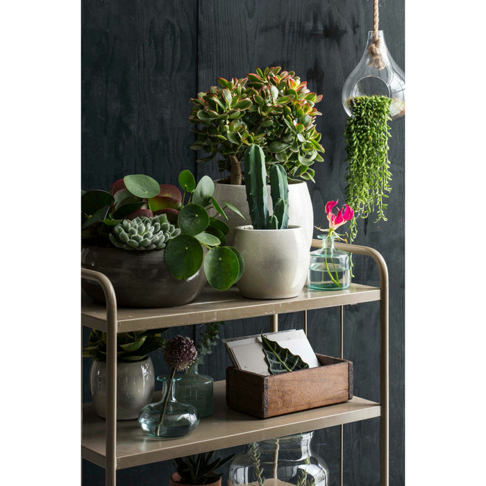 646f22b1-d917-4777-9ef9-b07c0a1818c1-sfeerbeeld.jpg (6376981)