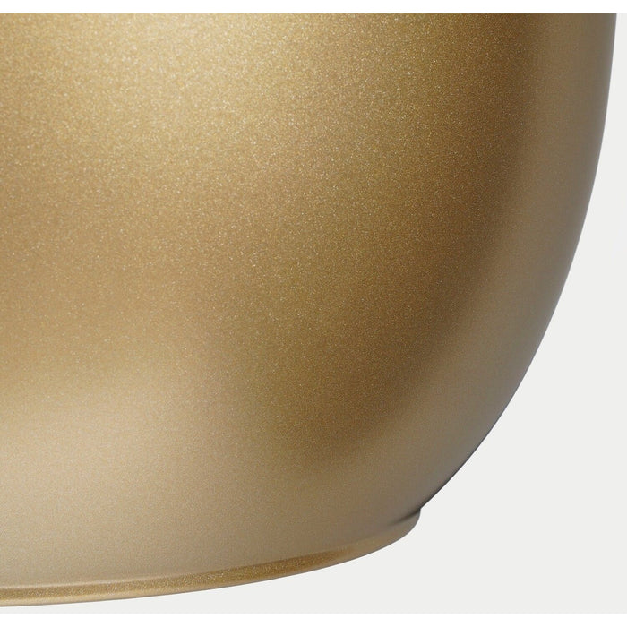 038ae1f2-5b3e-4b9e-9206-8d7fbc7c1931-afbeelding3.jpg (6376998)