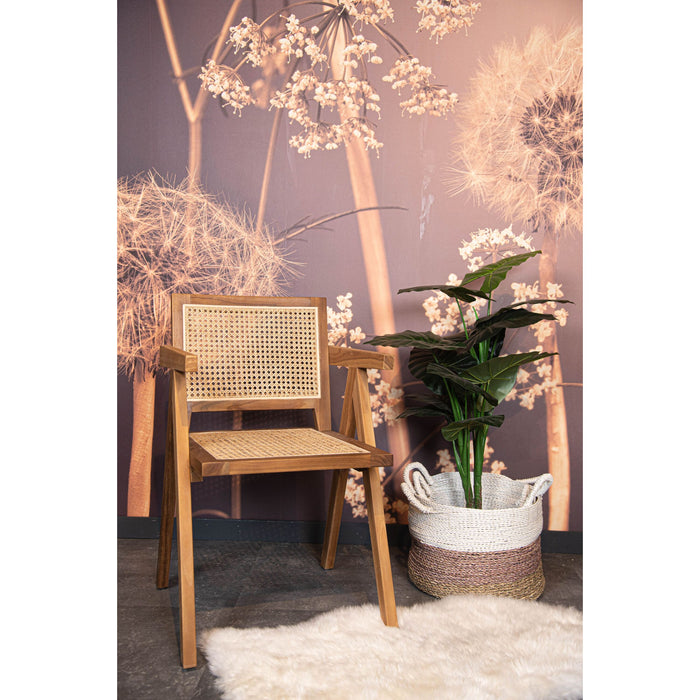 92cf84a0-d26d-4acb-a881-fc56b0e654ff-afbeelding6.jpg (6492138)