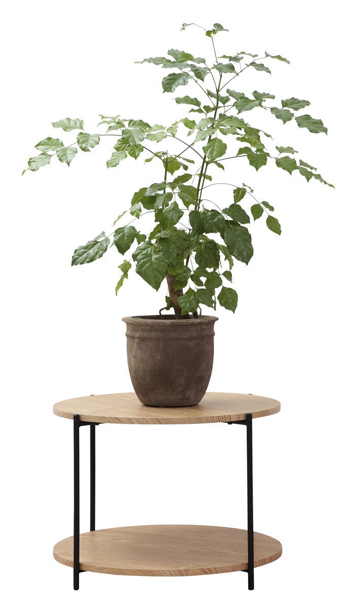 Lisomme Lina Ronde Houten Salontafel Ø 55 cm - Naturel