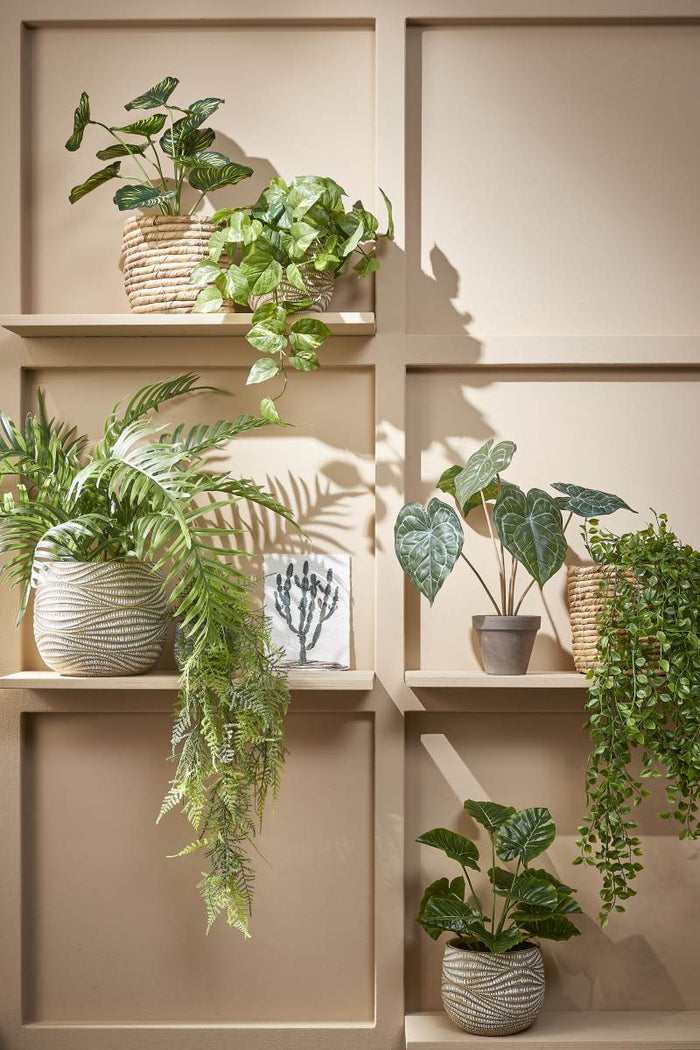Mica Decorations Pothos Kunstplant - 17x17x44 cm - Groen