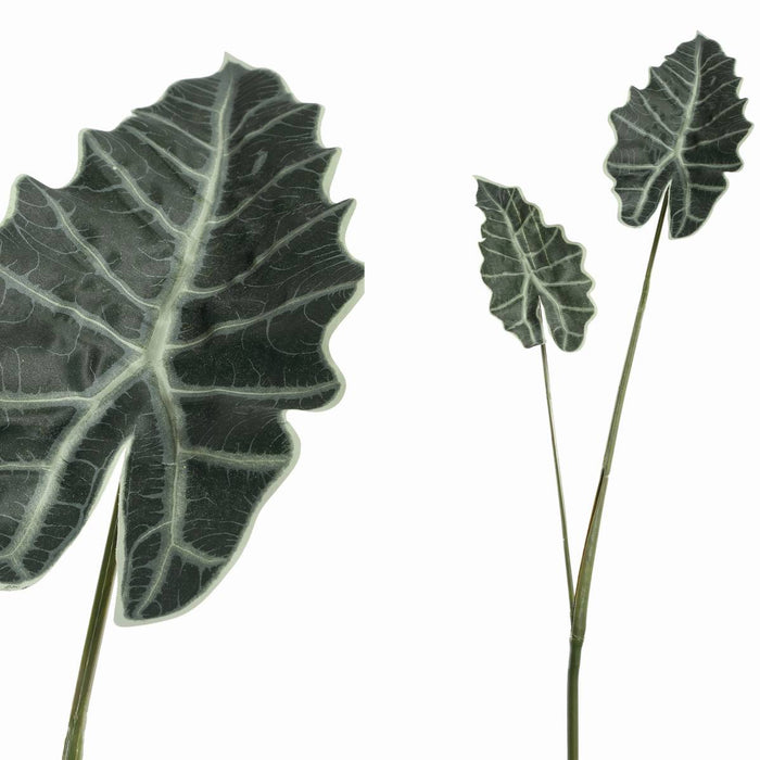 PTMD Alocasie Kunsttak - 119 x 34 x 118 cm - Kunststof - Groen