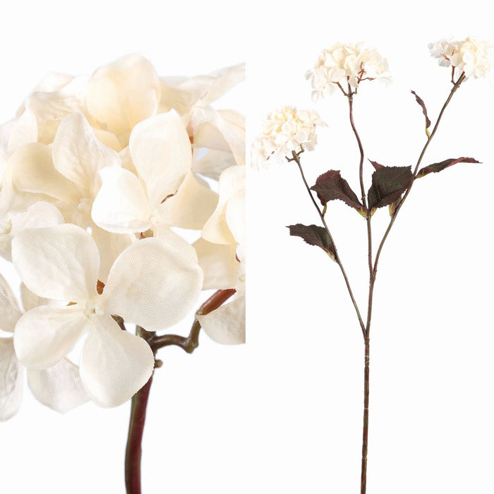 PTMD Gedroogde Hortensia Droogbloem - 43x23x77 cm - Kunststof - Créme