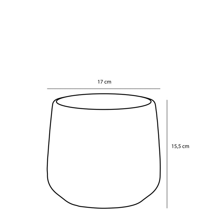 ea99784f-fd77-4894-a17b-b3c4a265e4fe-afbeelding6.jpg (6906176)