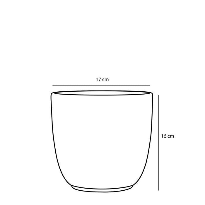 6598d4c3-c0ac-4bfc-97ab-7b707c713d63-afbeelding4.jpg (6906455)